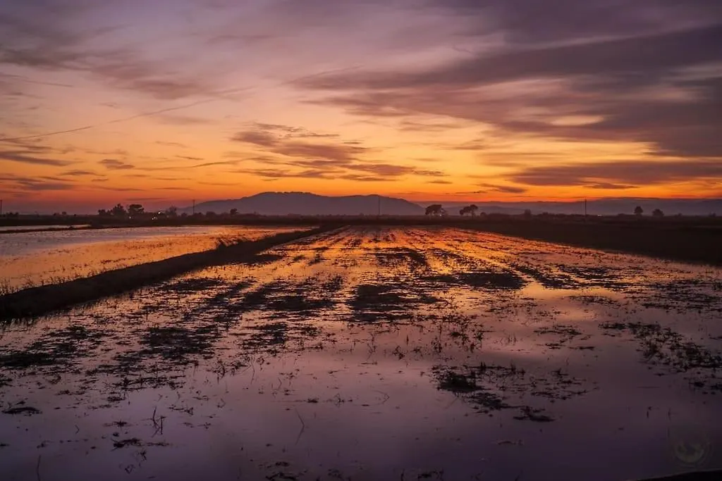 Panoramic Sunset Delta Apartment Deltebre Spain